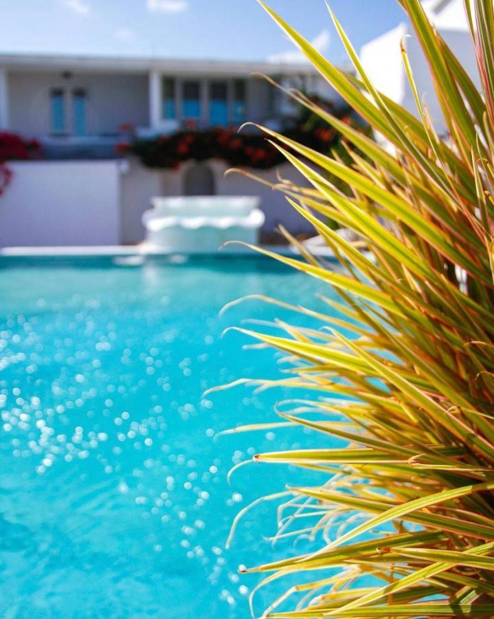 Trade Winds Hotel Dickenson Bay Ngoại thất bức ảnh
