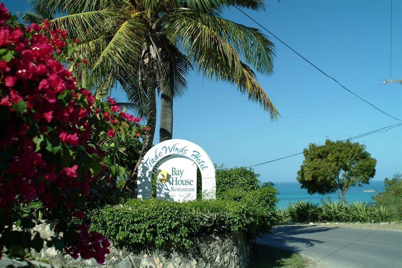 Trade Winds Hotel Dickenson Bay Ngoại thất bức ảnh