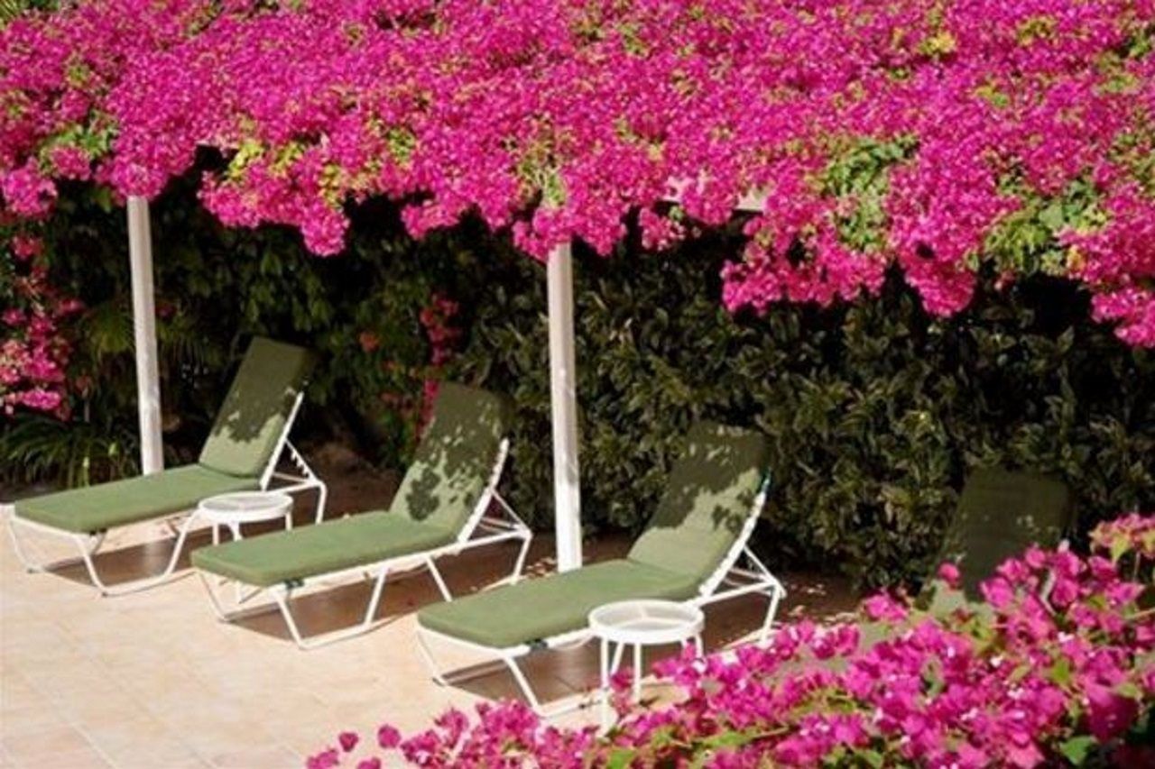 Trade Winds Hotel Dickenson Bay Ngoại thất bức ảnh