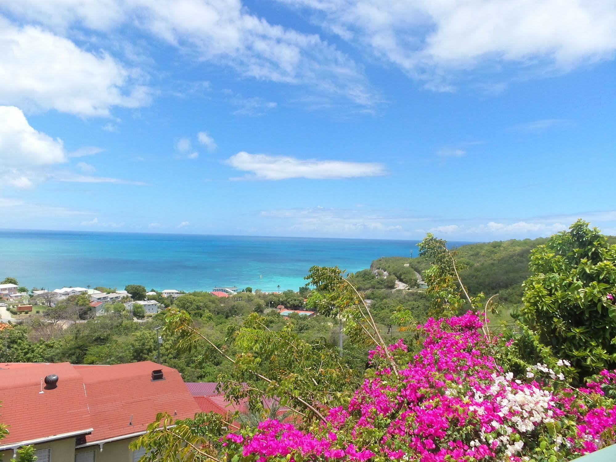Trade Winds Hotel Dickenson Bay Ngoại thất bức ảnh